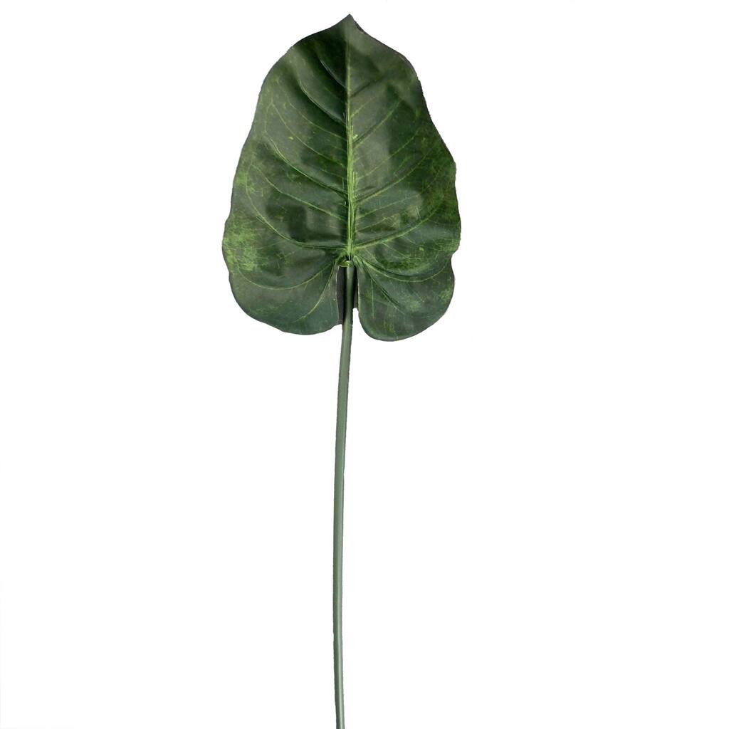 10296111.jpg img